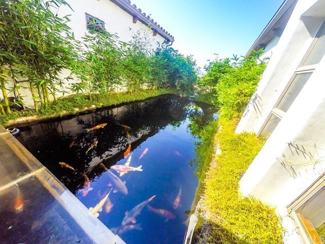 Photo #6