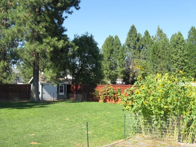 Photo #3
