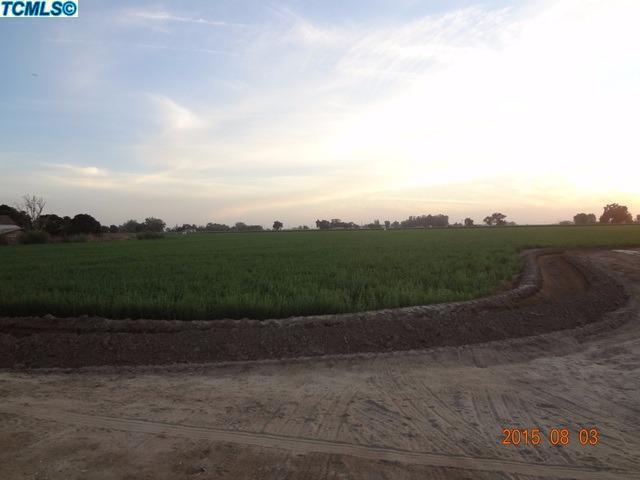 Photo #2