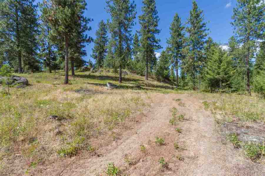 Photo #3