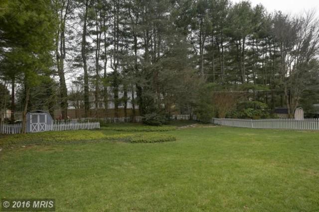 Photo #3