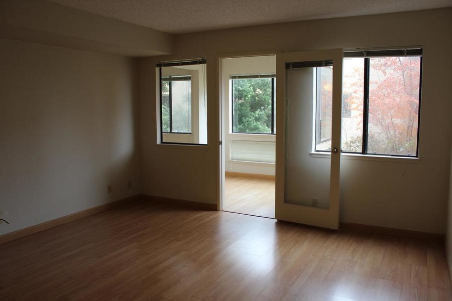 Photo #4
