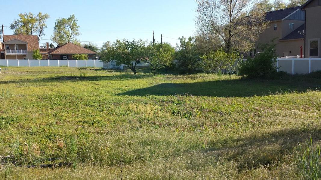 Photo #2