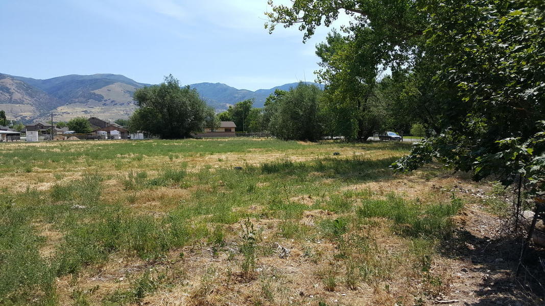 Photo #2