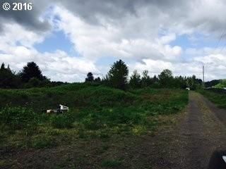 Photo #3