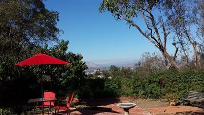 Photo #6