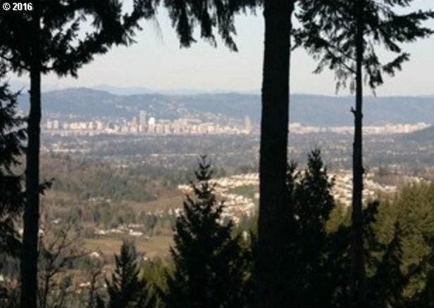 Photo #6