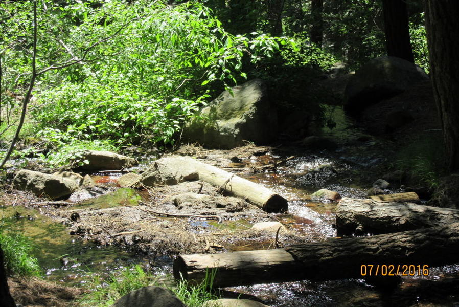 Photo #3