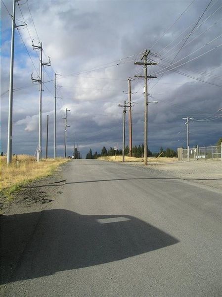 Photo #1