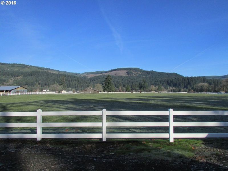 Photo #3