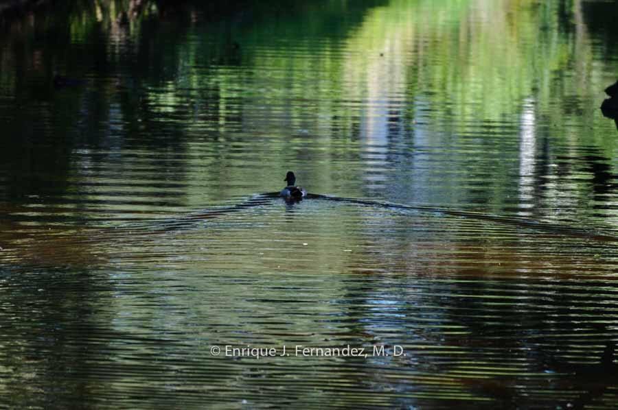 Photo #2