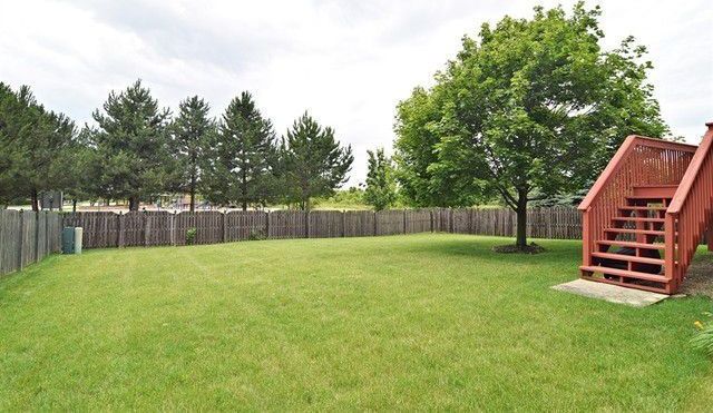 Photo #6