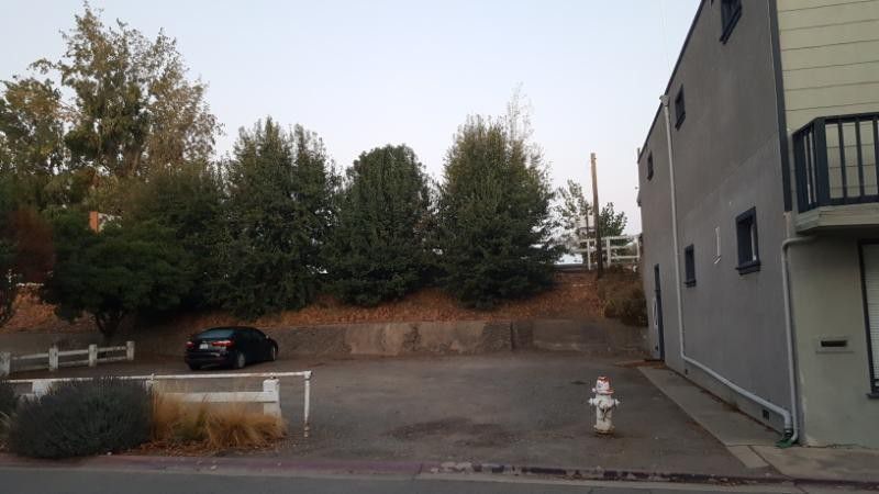 Photo #1
