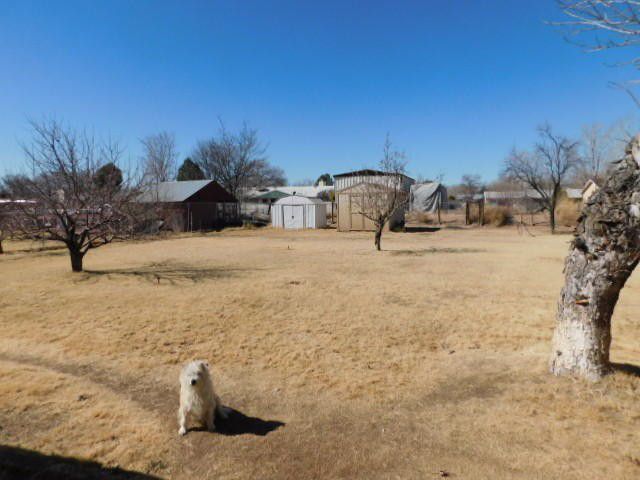 Photo #4