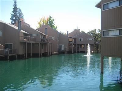 Photo #3