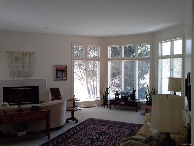 Photo #3