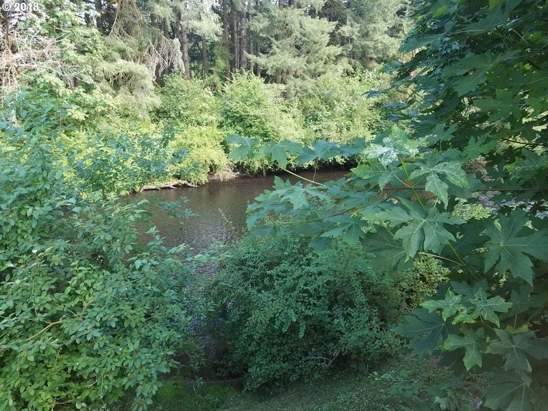 Photo #4