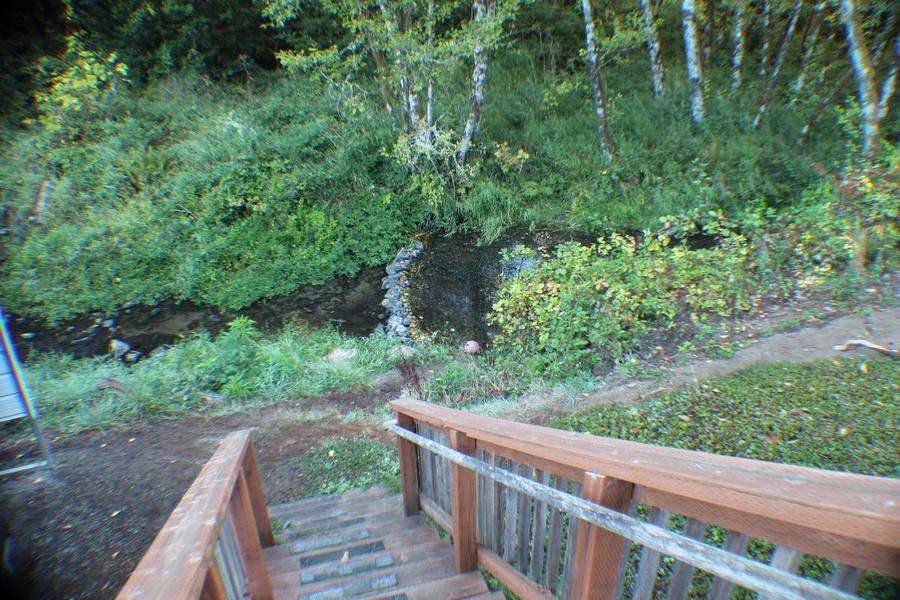 Photo #3