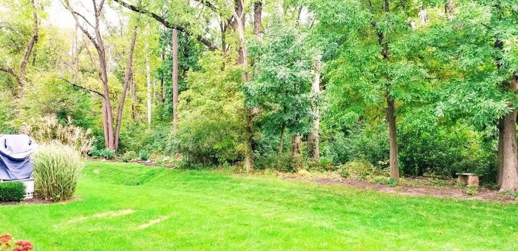 Photo #3