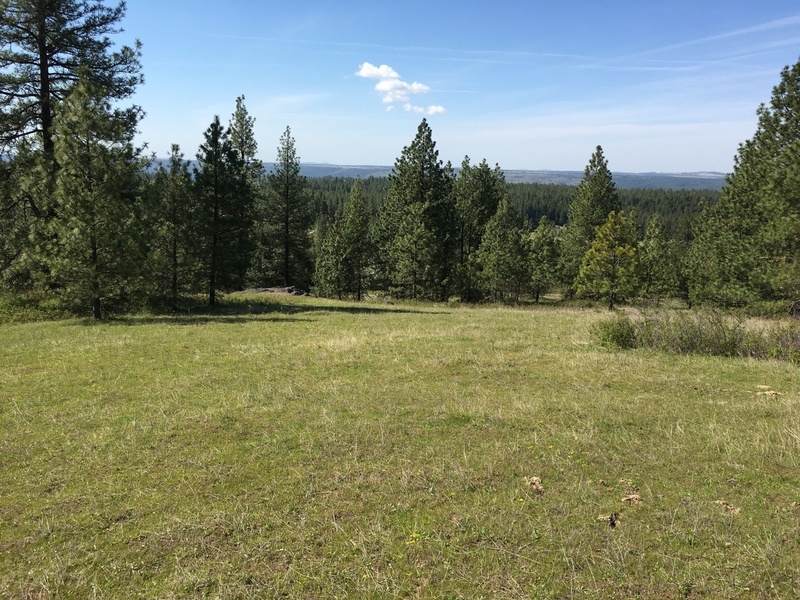 Photo #6
