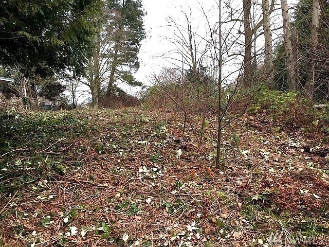 Photo #3
