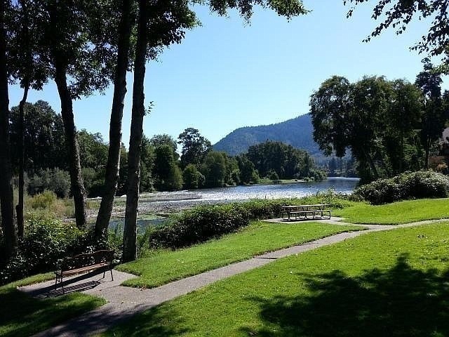 Photo #6