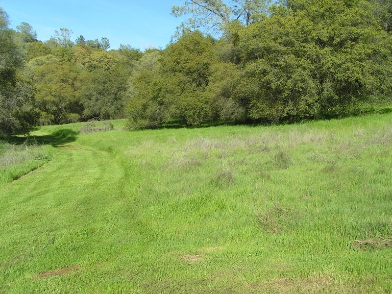 Photo #3
