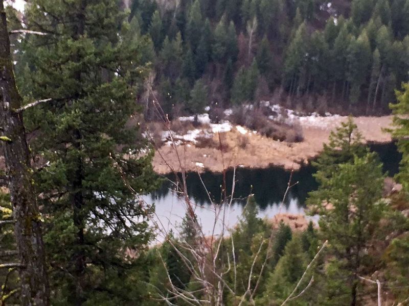Photo #2