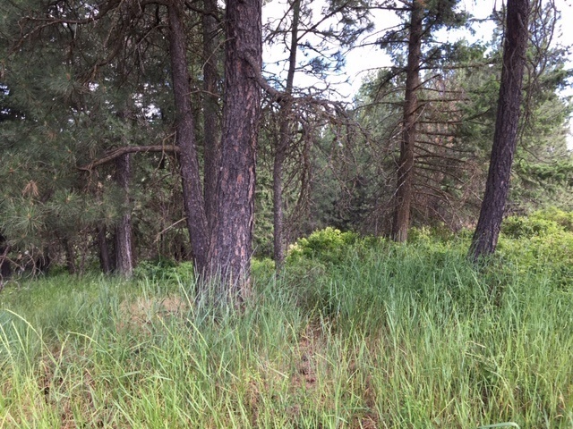 Photo #2