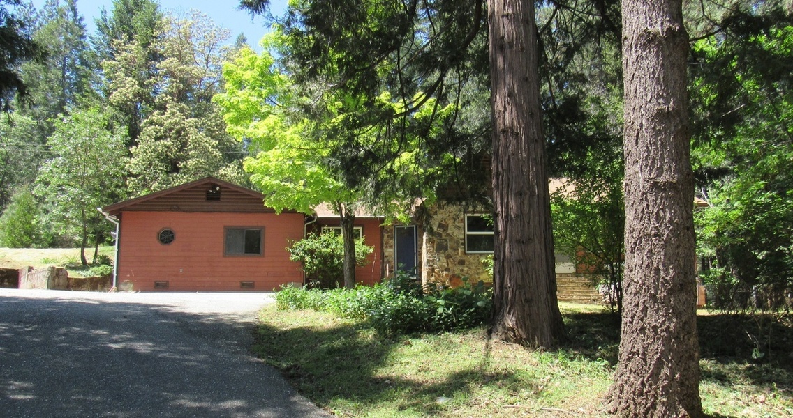 Photo #1