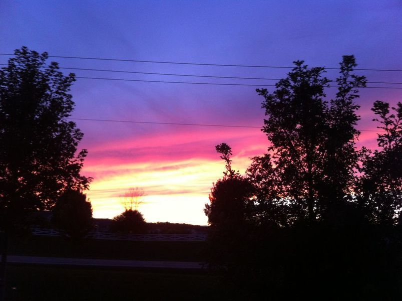 Photo #6