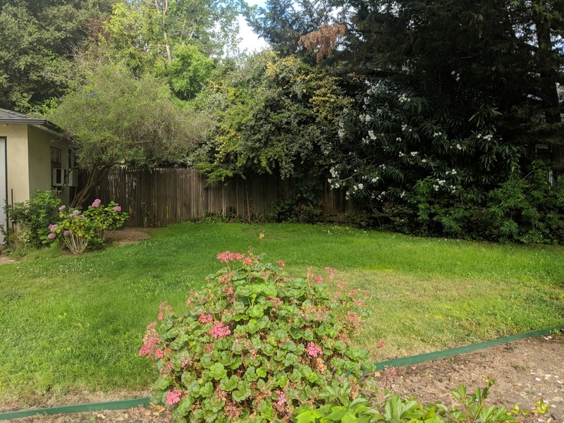 Photo #3