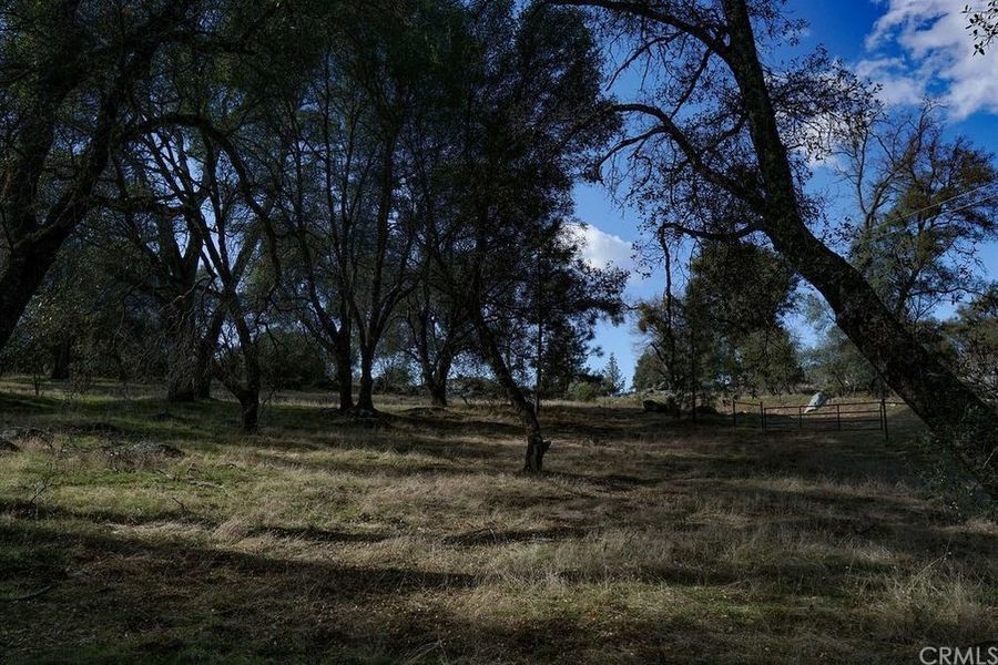 Photo #1