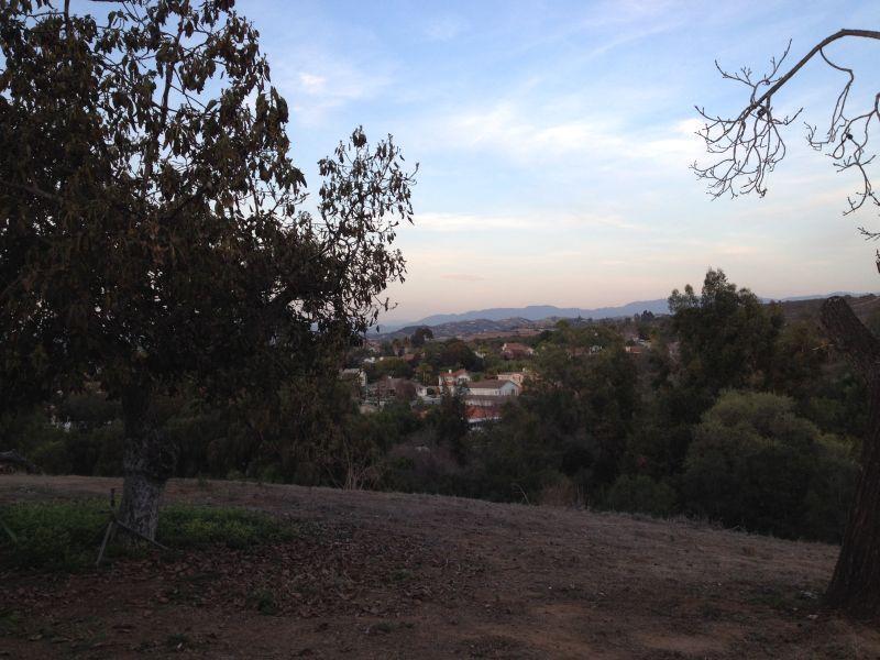 Photo #3