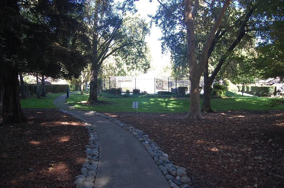 Photo #3