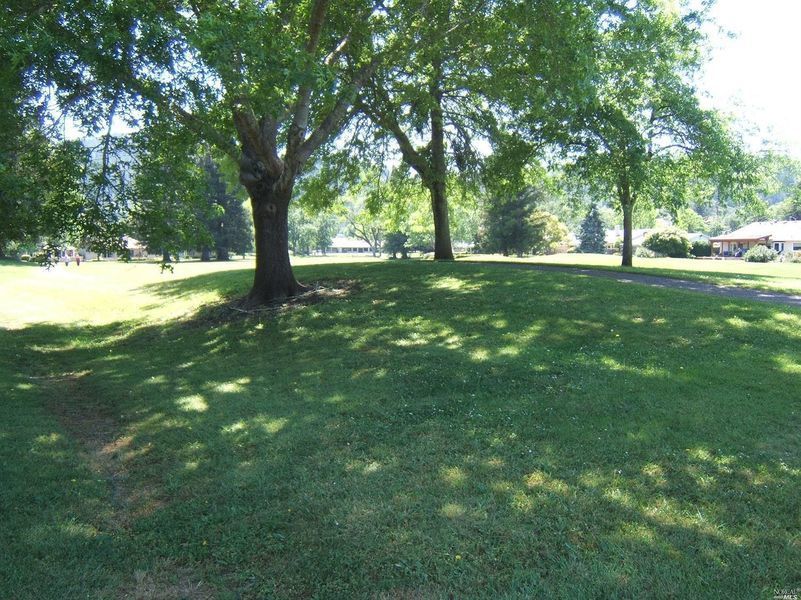 Photo #6