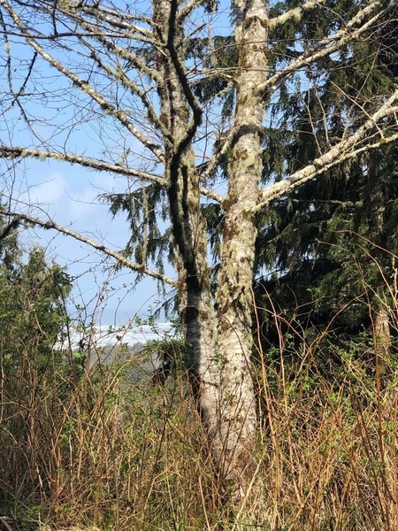 Photo #2