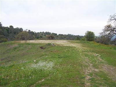Photo #1