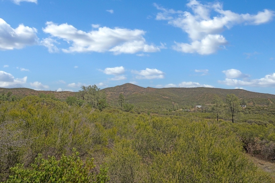 Photo #6