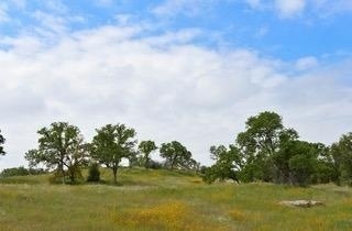 Photo #3