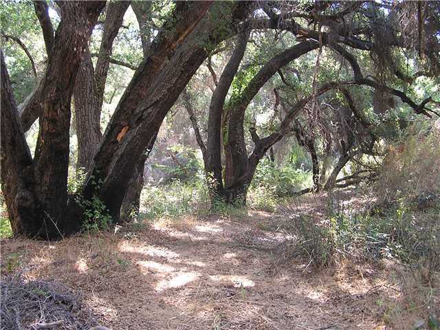 Photo #2