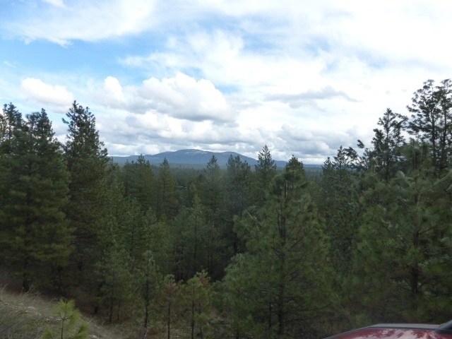 Photo #2