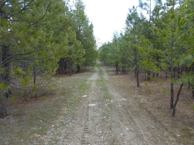 Photo #3