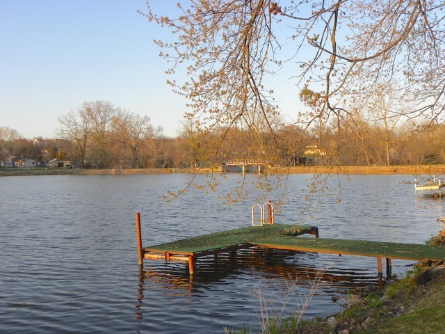 Photo #3