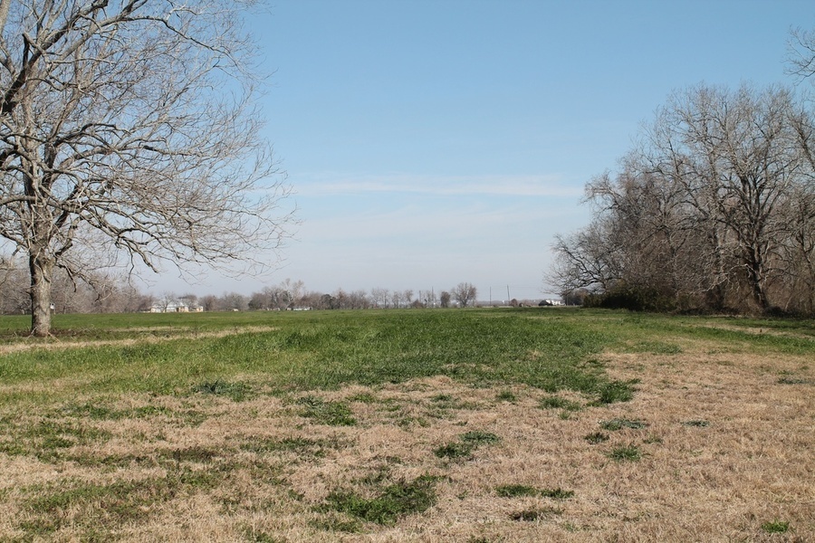 Photo #6