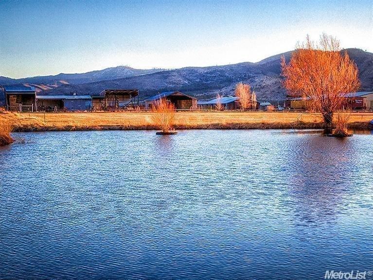 Photo #1