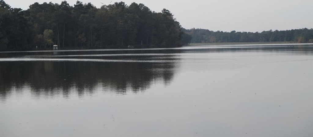 Photo #2