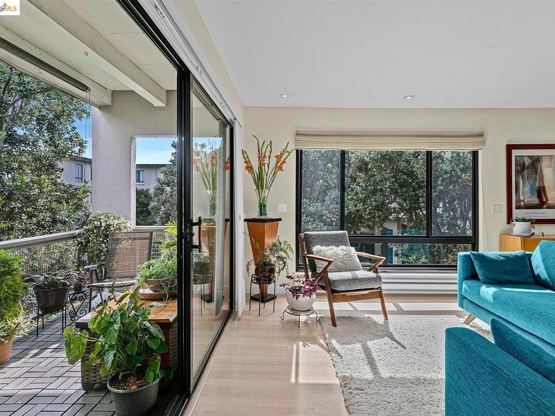 Photo #6